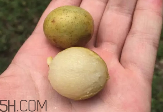 南酸棗怎么吃？南酸棗的作用與功效