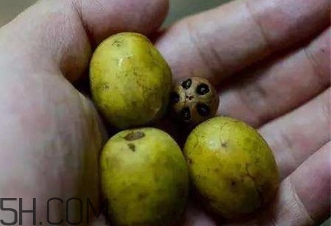 南酸棗可以泡酒嗎？南酸棗果核有什么功效