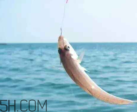 立冬后還好釣魚嗎 立冬前后釣魚技巧 立冬后還好釣魚嗎 立冬前后釣魚技巧