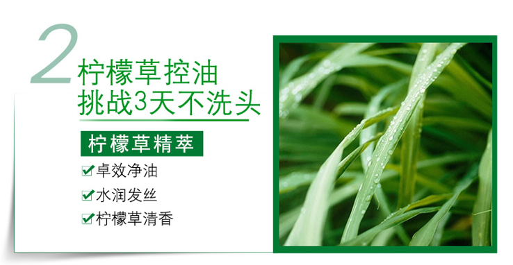 歐萊雅茶樹植萃去屑凈油洗發(fā)露 歐萊雅茶樹植萃去屑凈油洗發(fā)露