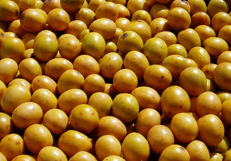 南酸棗是棗嗎？南酸棗的核如何做手串