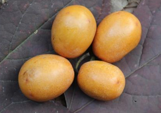 南酸棗怎么吃？南酸棗的作用與功效