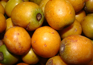 南酸棗什么時候成熟？南酸棗怎么種