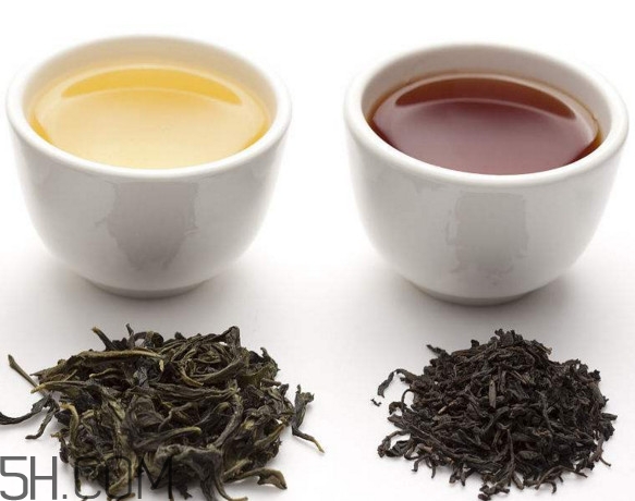 烏龍茶是什么茶？烏龍茶是紅茶還是綠茶