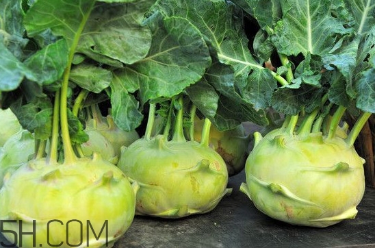 大頭菜營(yíng)養(yǎng)價(jià)值有哪些？大頭菜什么時(shí)候種植