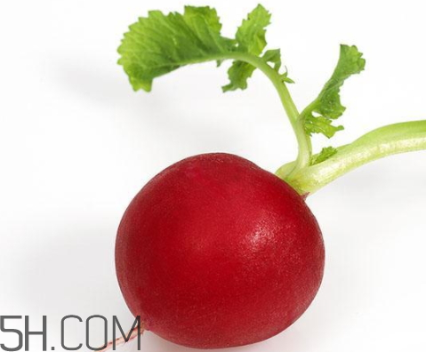 紅蘿卜可以放冰箱嗎 紅蘿卜放冰箱如何保存 紅蘿卜可以放冰箱嗎 紅蘿卜放冰箱如何保存