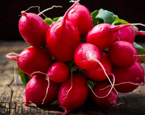 紅?蘿卜不能和什么一起吃 紅?蘿卜和什么相克 紅?蘿卜不能和什么一起吃 紅?蘿卜和什么相克