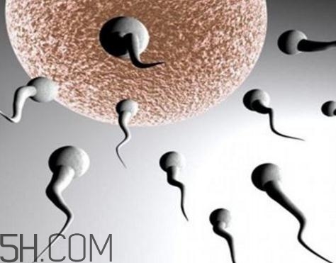 弱精癥可以治愈嗎？弱精癥吃什么藥好得快？