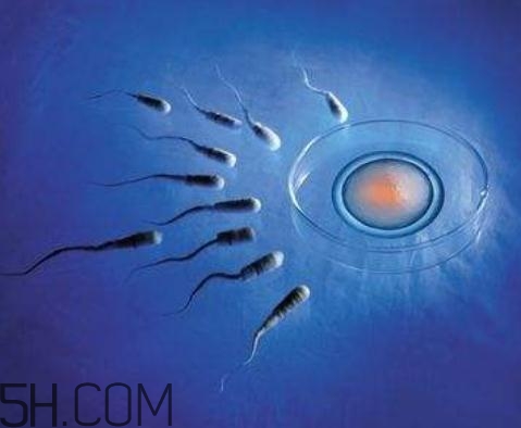 弱精癥能做試管嬰兒嗎？弱精癥可以人工受精嗎？