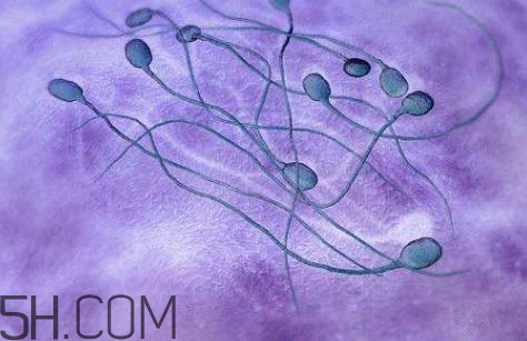 弱精癥是天生的嗎？弱精癥是先天后天的？