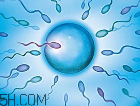 無精癥吃什么可以生精？無精癥吃生精片管用嗎？