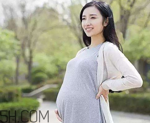 懷孕了可以吃可樂雞翅嗎？可樂雞翅什么人不能吃