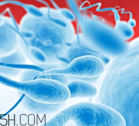 無精癥能射精嗎？無精癥能勃起嗎？