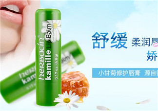 賀本清德國小甘菊潤唇膏好用嗎？賀本清德國小甘菊潤唇膏測評