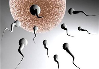 無精癥能射精嗎？無精癥能勃起嗎？