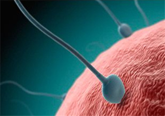 無精癥吃什么可以生精？無精癥吃生精片管用嗎？