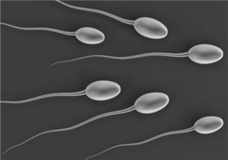 弱精癥可以治愈嗎？弱精癥吃什么藥好得快？