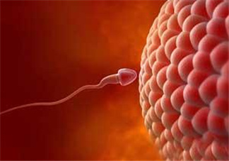 無精癥射出來什么癥狀？無精癥射出來什么顏色？