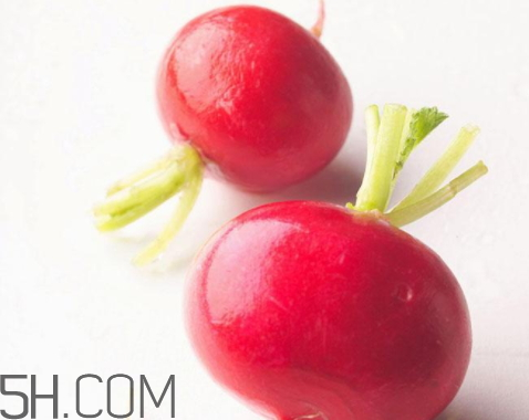 紅蘿卜可以放冰箱嗎 紅蘿卜放冰箱如何保存 紅蘿卜可以放冰箱嗎 紅蘿卜放冰箱如何保存
