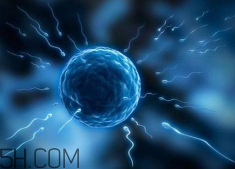 無精癥是先天的嗎？無精癥會遺傳嗎？