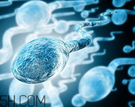 先天性無精癥怎么辦？先天性無精癥能治好嗎？