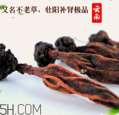 回春草怎么服用 回春草怎么用最好 回春草怎么服用 回春草怎么用最好