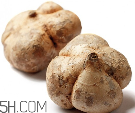 白地瓜怎么存放 白地瓜能放多久 白地瓜怎么存放 白地瓜能放多久