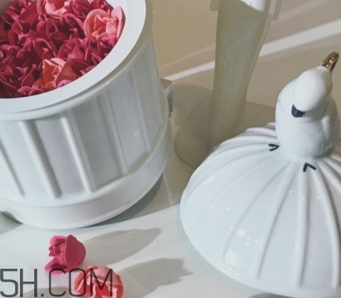 拉杜麗鳥籠腮紅多少錢？laduree2018拉杜麗鳥籠腮紅試色