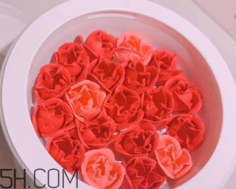 拉杜麗鳥籠腮紅多少錢？laduree2018拉杜麗鳥籠腮紅試色