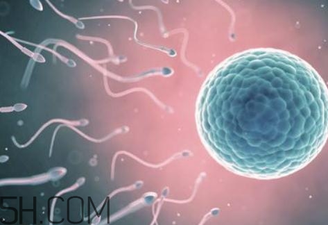 少精癥是怎么引起的？少精癥是不是不能自愈？