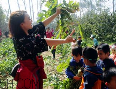 秋后拔蘿卜再硬也要碰是什么意思？