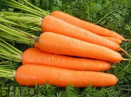 青蘿卜和胡蘿卜能一起吃嗎 青蘿卜和紅蘿卜能一起吃嗎 青蘿卜和胡蘿卜能一起吃嗎 青蘿卜和紅蘿卜能一起吃嗎