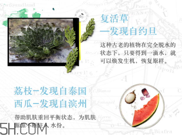 悅木之源復(fù)活草水潤修護凝乳