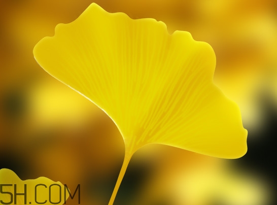 銀杏葉怎么祛斑？銀杏葉有毒嗎