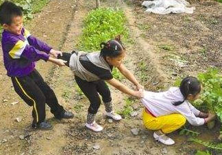 秋后拔蘿卜再硬也要碰是什么意思？