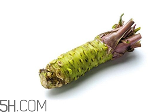 芥末為什么會(huì)沖鼻？芥末長(zhǎng)什么樣子