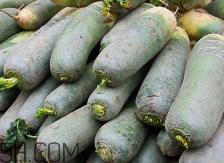 青蘿卜是發(fā)物嗎 青蘿卜是辛辣食物嗎 青蘿卜是發(fā)物嗎 青蘿卜是辛辣食物嗎