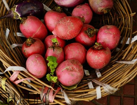 水蘿卜是涼性的嗎 水蘿卜是堿性還是酸性 水蘿卜是涼性的嗎 水蘿卜是堿性還是酸性