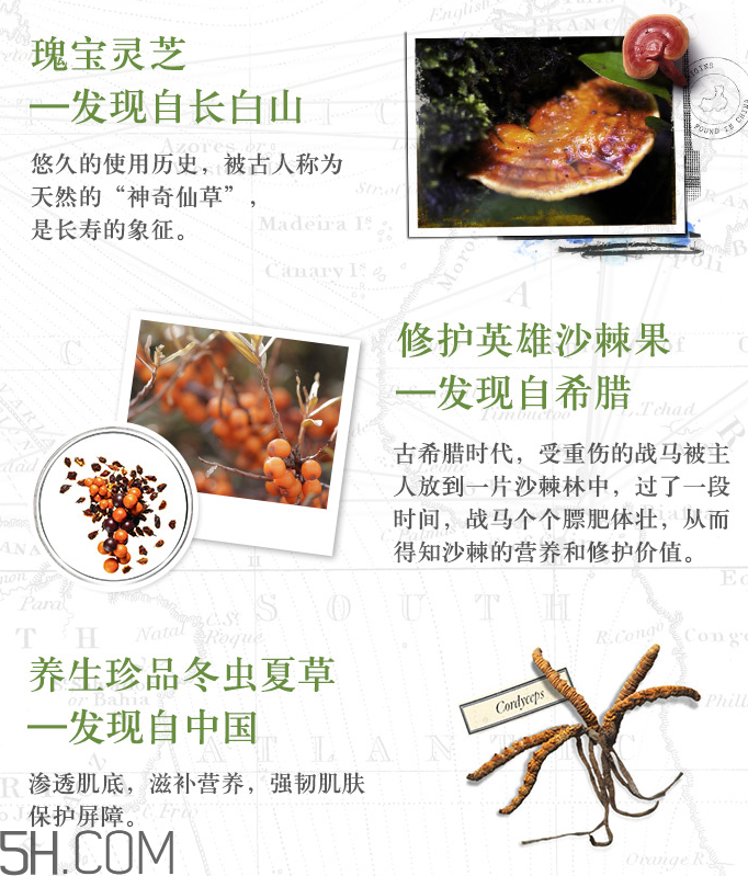 悅木之源韋博士靈芝煥能凈化潔膚液 悅木之源韋博士靈芝煥能凈化潔膚液