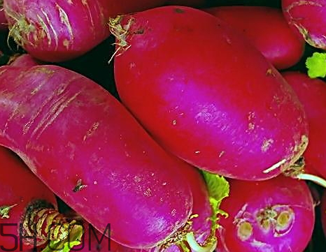 紅蘿卜是堿性還是酸性 紅蘿卜是發(fā)物嗎 紅蘿卜是堿性還是酸性 紅蘿卜是發(fā)物嗎