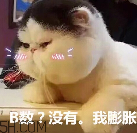 b數(shù)沒(méi)有我膨脹什么意思？b數(shù)沒(méi)有我膨脹表情包