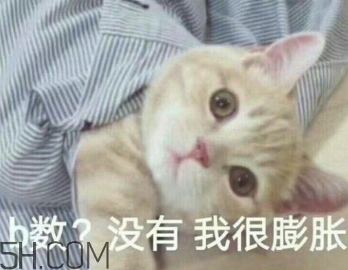 b數(shù)沒(méi)有我膨脹什么意思？b數(shù)沒(méi)有我膨脹表情包