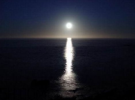 白月光一詞出自哪里 網(wǎng)絡(luò)用語(yǔ)白月光是什么意思 白月光一詞出自哪里 網(wǎng)絡(luò)用語(yǔ)白月光是什么意思