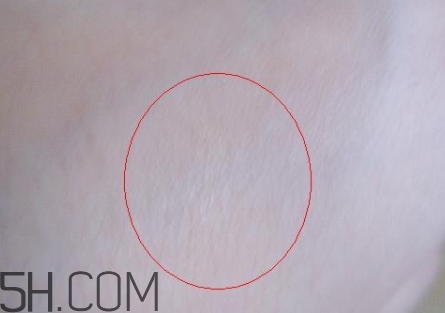 卡姿蘭遮瑕膏多少錢(qián)？卡姿蘭遮瑕膏專(zhuān)柜價(jià)格