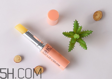 潤唇膏排行榜前十名 平價好用的潤唇膏推薦 潤唇膏排行榜前十名 平價好用的潤唇膏推薦