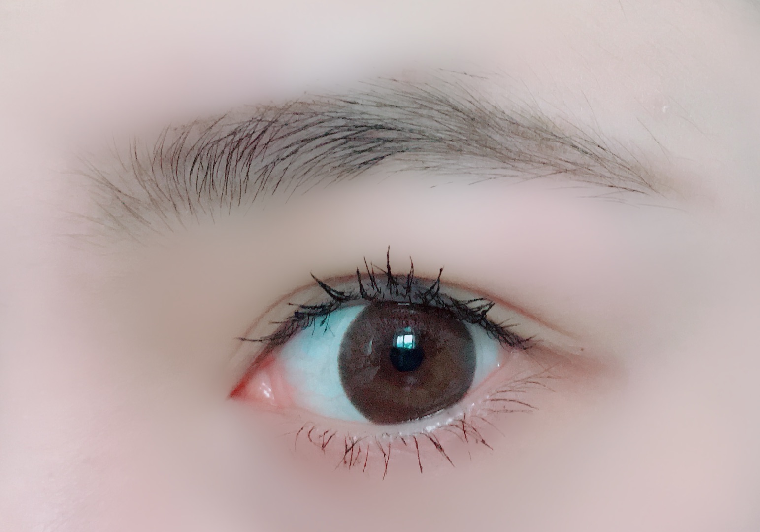 con美瞳怎么樣 con美瞳是什么牌子 con美瞳怎么樣 con美瞳是什么牌子