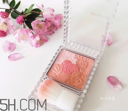 腮紅啞光好還是珠光好？怎樣挑選適合自己的腮紅？