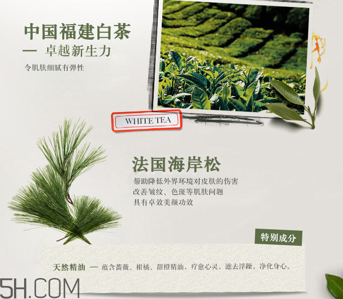 悅木之源白毫銀針身體潤膚乳 悅木之源白毫銀針身體潤膚乳