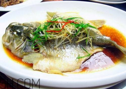 松江鱸魚怎么做？松江鱸魚養(yǎng)殖技術(shù)