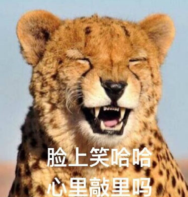 敲里lailai是什么意思？敲里lailai表情包無(wú)水印